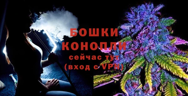ГАЛЛЮЦИНОГЕННЫЕ ГРИБЫ Нея