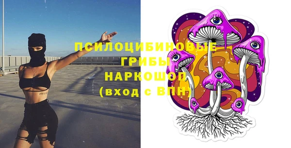 ГАЛЛЮЦИНОГЕННЫЕ ГРИБЫ Нея